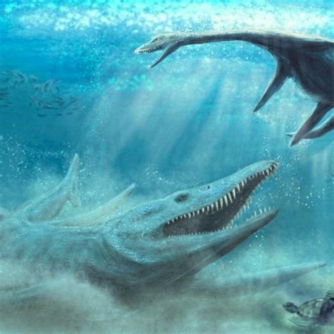 Real Prehistoric Sea Animals