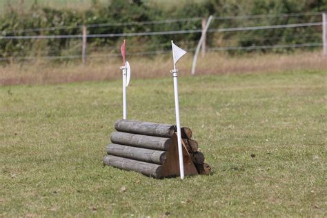 Building a coop for a horse jump – Artofit