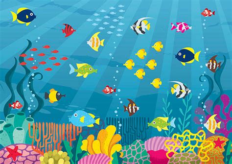 Aquarium Illustrations, Royalty-Free Vector Graphics & Clip Art - iStock