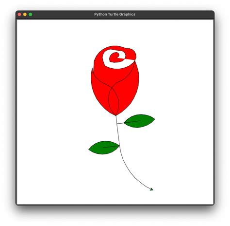 Image result for Python Turtle 3D Roses with No Background