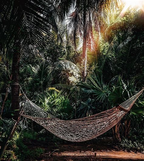 𝕭𝖎𝖆𝖓𝖈𝖆 | Happy New Year everyone! 🥂🫶🎉 2024: A year of lessons, love ...