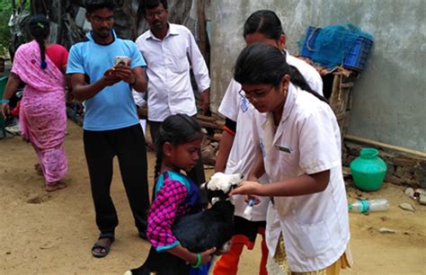 Dr. M.G.R. Fisheries College and Research Institute, Ponneri