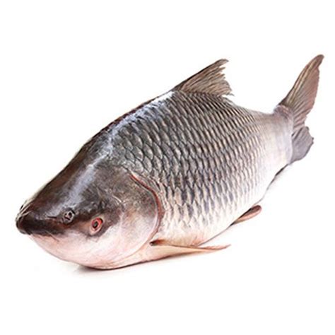 Buy My Chicken & More Fish - Rohu 1 kg (Whole) Online at Best Price. of ...