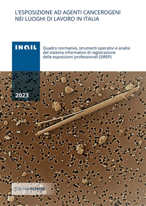 Esposizione ad agenti cancerogeni nei luoghi di lavoro: la fotografia ...