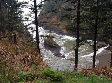 CAPE DISAPPOINTMENT STATE PARK (Ilwaco) - Campground Reviews & Photos ...