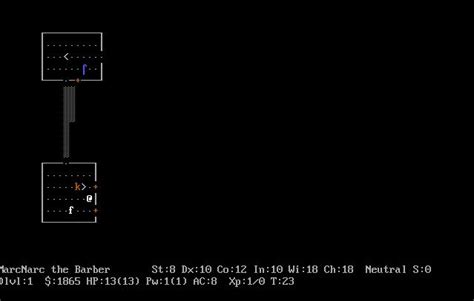 Image result for Playing NetHack