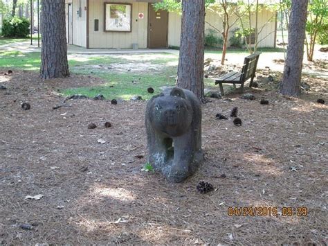 BEAR LAKE CAMPGROUND (Milton) - Campground Reviews & Photos - Tripadvisor