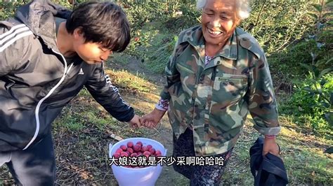 70岁老人种了几千颗果树，到老人的果园收鸡心果！老人很高兴【东北鸭蛋说白了】