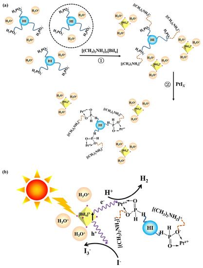 Bismuth-Based Halide Perovskites for Photocatalytic H2 Evolution ...
