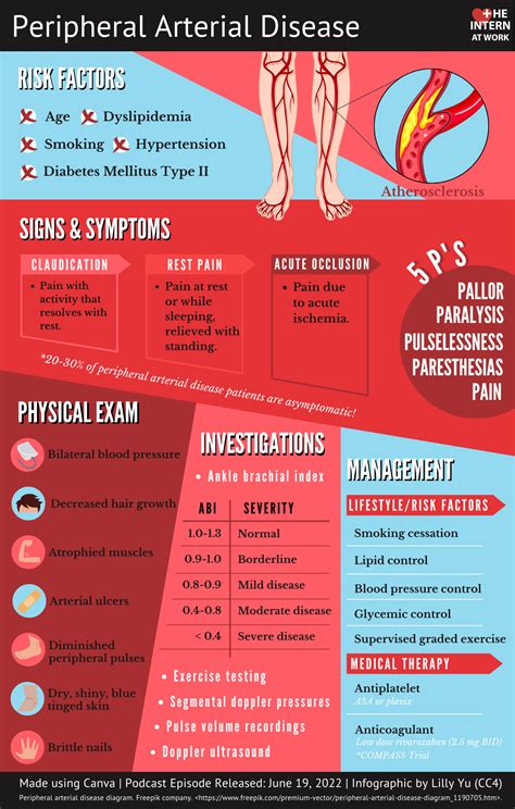 What Are Arterial Diseases at Jasper Butler blog
