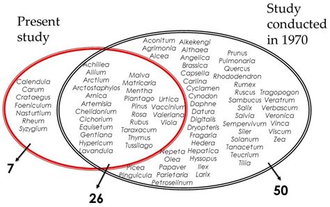 Traditional Knowledge Evolution over Half of a Century: Local Herbal ...