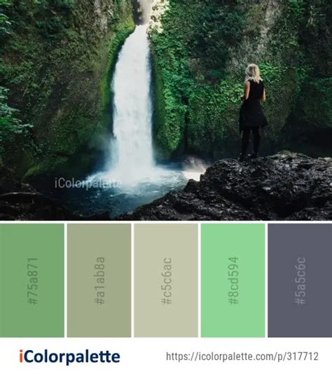 Nature Color 的图像结果