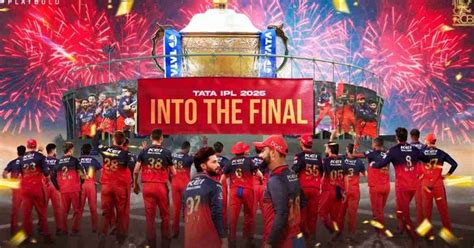 RCB Road to IPL Final 2025: Check Bengaluru Team Performance, Key ...