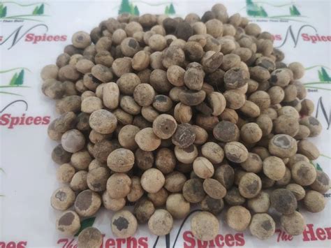 Herbal Seeds - Solanum Nigrum - Makoi Dana - Makoy Fruits - Nighthade ...