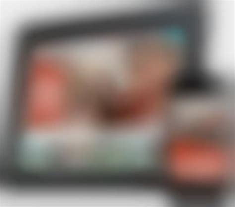 Dog Matching Services : dog matching