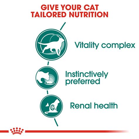 Royal Canin Instinctive 7+ Cat Wet Food - 85 g packs – Heads Up For Tails