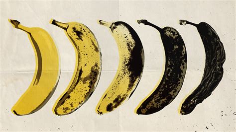 Extinction Of Bananas