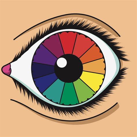 Image result for Color Vision