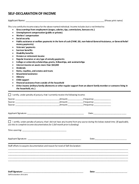 Self-Declaration of Income Form - Blank Fillable Template | Fill Out ...