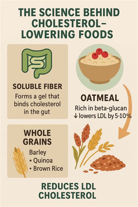 How to Lower LDL Cholesterol Naturally: A Complete Guide to Heart-Healthy Living - Wellness ...
