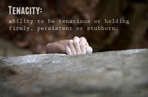 Image result for Tenacity Problems