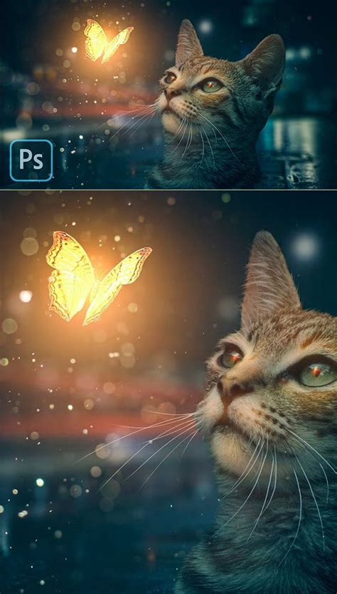 Image result for Best Adobe Photoshop Tutorials