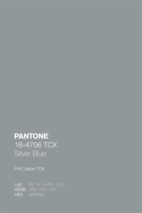 PANTONE 16-4706 TCX Silver Blue Color Code | Spring color palette, Pantone colour palettes, Pantone