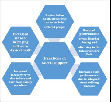 Figure 2 . Schematic summary of the advantages of social support.