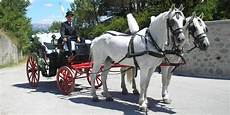 carrozza cavalli giro in carrozza gratis con uberclop omaggiomania carrozza cavalli giro in carrozza gratis con uberclop omaggiomania