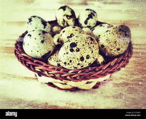 Quail's eggs in a baskets Stock Photo - Alamy
