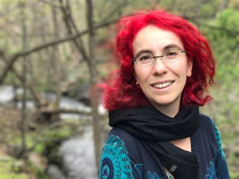 Image result for Novik Com