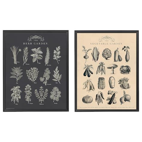 KNOPPÄNG frame with poster, garden, 40x50 cm (15 ¾x19 ¾") - IKEA