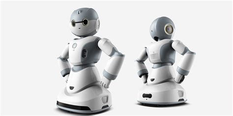 好玩！精选了2020消费电子展上八款机器人与大家分享 - 普象网