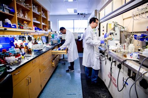 Image result for Medicinal Chemistry Programs