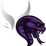 Xtreme Gaming v Team Cobra results, H2H stats | eSports - Flashscore