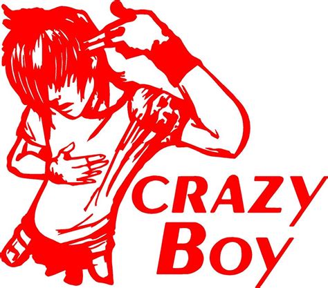 Onlinemart CRAZY BOY R Sides, Windows, Bumper, Hood Car Sticker ...