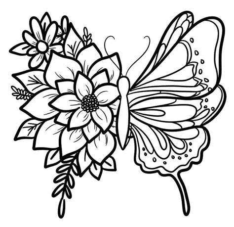 Image result for Butterfly Coloring