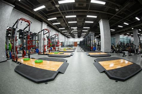 Gym体育馆 的图像结果