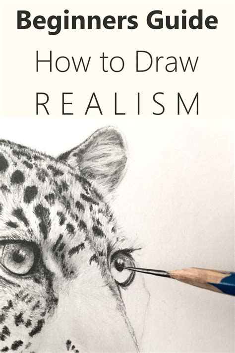 Image result for Pencil Drawing Tutorials