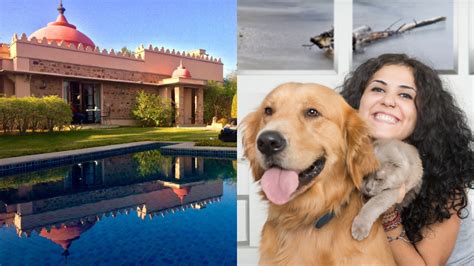Planning Your Staycation? Explore The Best 5 Pet-Friendly Resort And ...