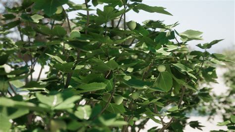 Image result for Unreal Engine Passive Tree