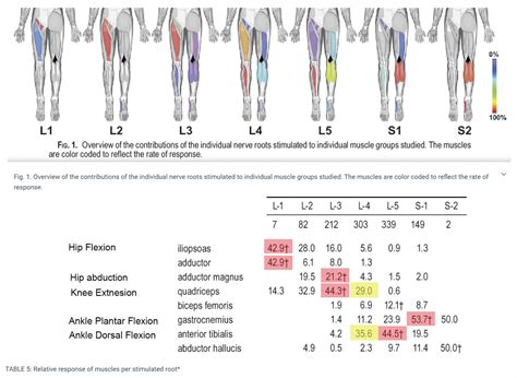 Lower Extremity Spine Exam - Spine - Orthobullets