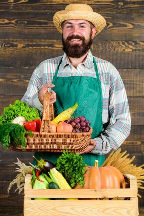 农场主 的图像结果