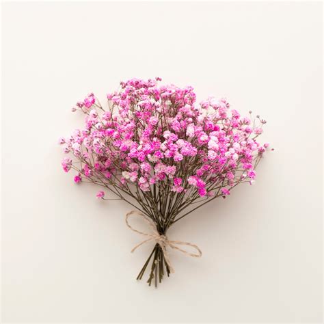 15 Mini Stems Baby's Breath, Gypsophila Preserved Pink Color, Dried ...