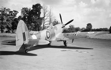 Image result for Spitfire 24