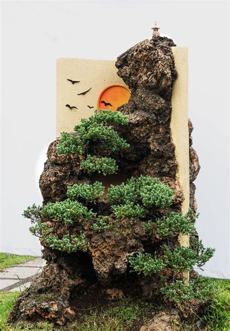 Collectible: Juniperus prostrata - Vertical Penjing on special rocks w ...