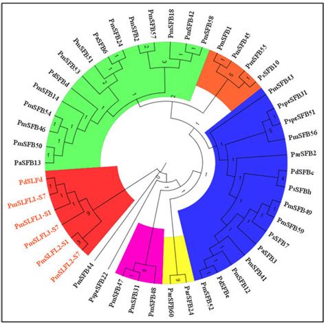 A Key Study on Pollen-Specific SFB Genotype and Identification of Novel ...