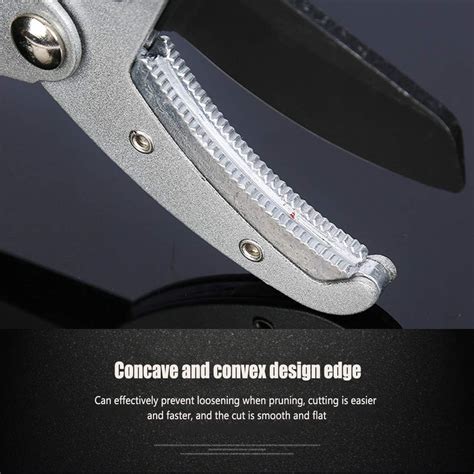 Buy Bypass Loppers Heavy Duty Garden Branch Cutter, Cutting Capacity ...