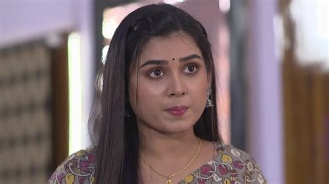 Shree TV Serial - Watch Shree Online All Episodes (1-120) on ZEE5