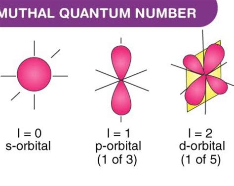 Spin Quantum Numbers (ms) - Deepstash